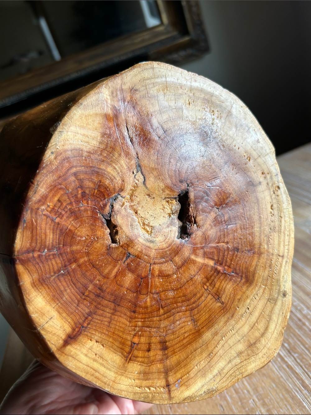 Hand Carved Burl Wood Basket - Rustic Decor Natural Foreging Whimsical Basket - Picture 10 of 16